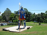 NSW - Knockrow - Big Knight (4 Feb 2011)